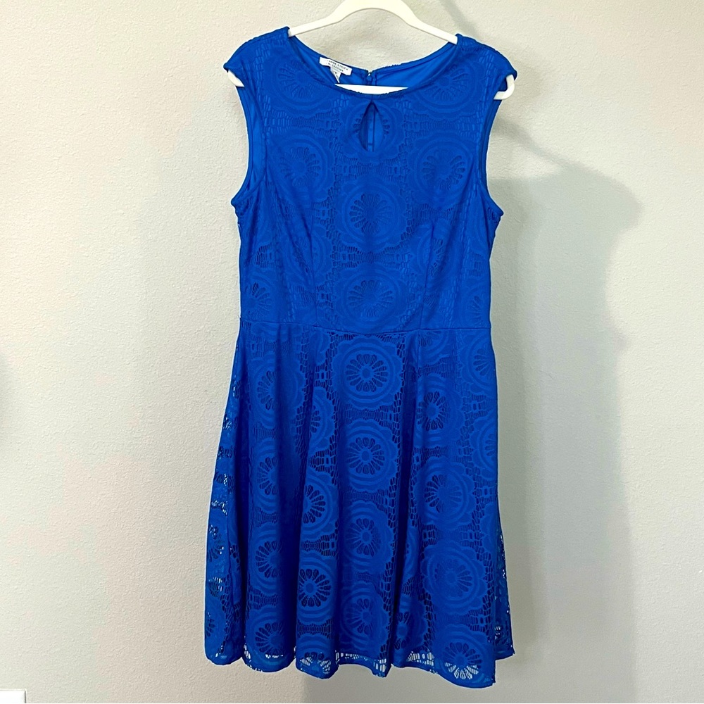 London styled collective blue lace dress size 14 (217)